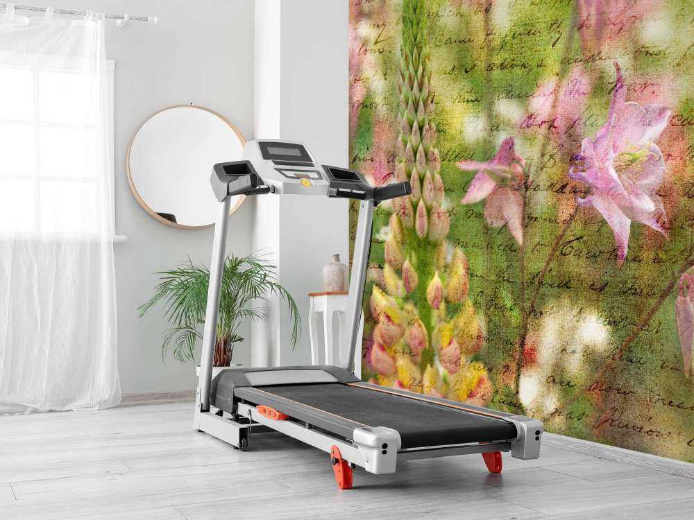 Colorful Aquilegia flowers on plants in garden