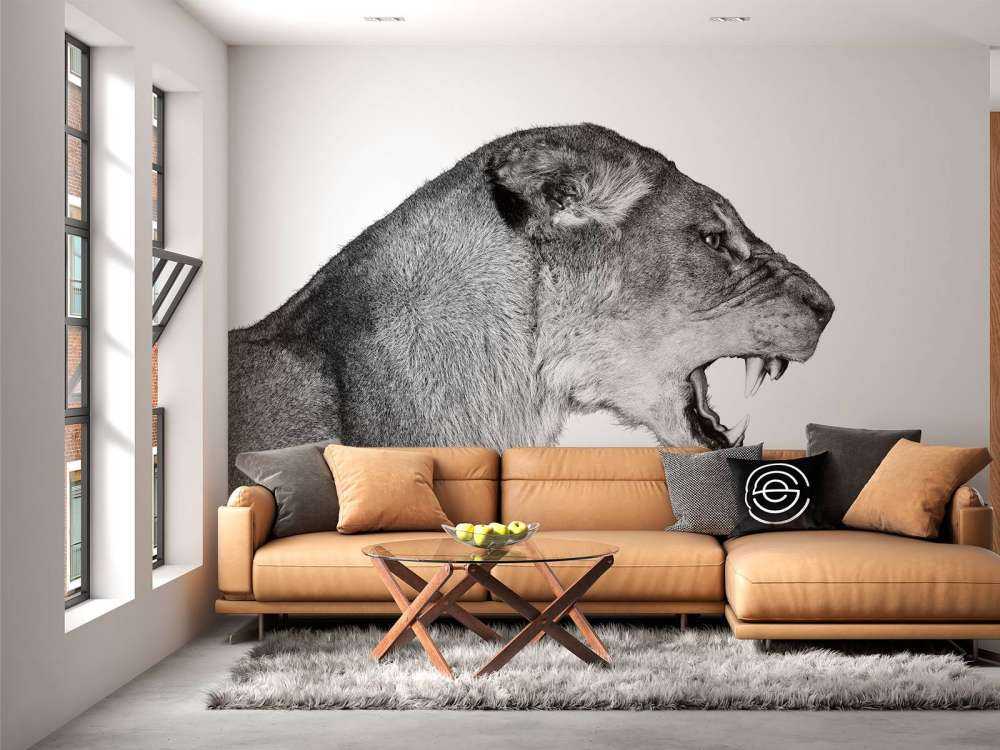 Lioness side view white