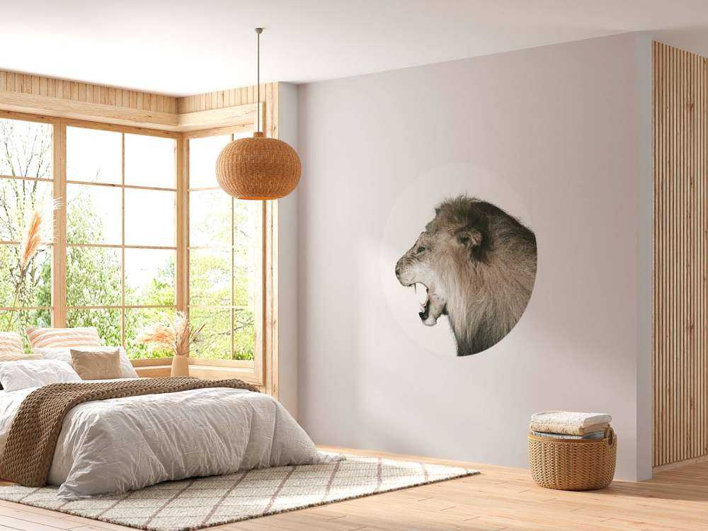 Roaring lion offwhite