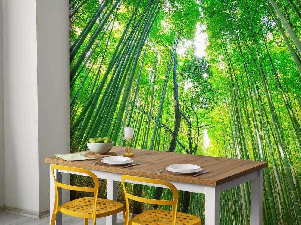 Bamboebos van Arashiyama