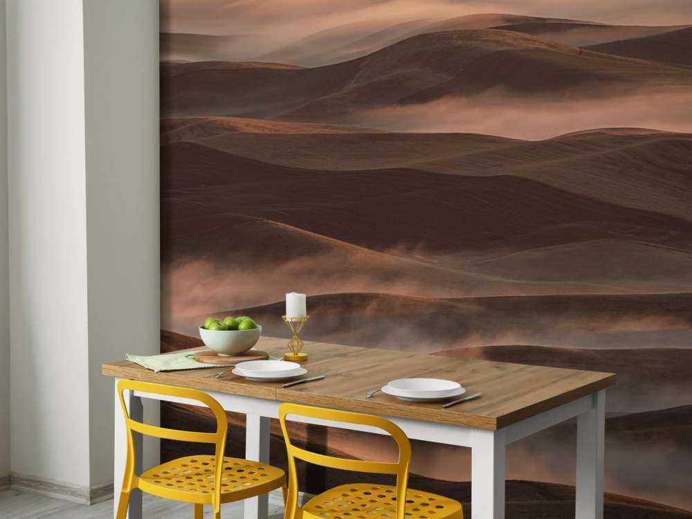 Early Spring Morning at Palouse