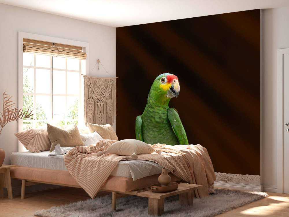 Nieuwsgierige papegaai