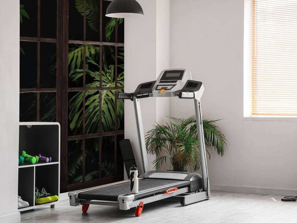 Botanische planten achter ramen