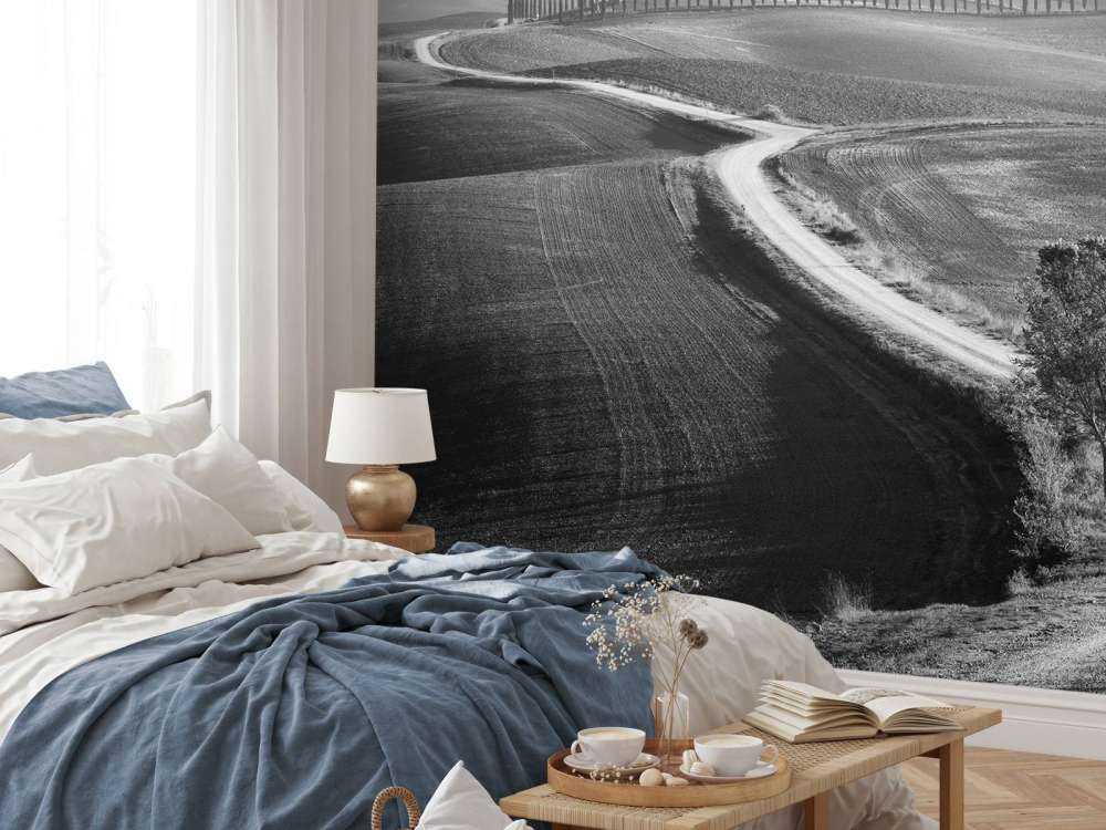 Morning in the field