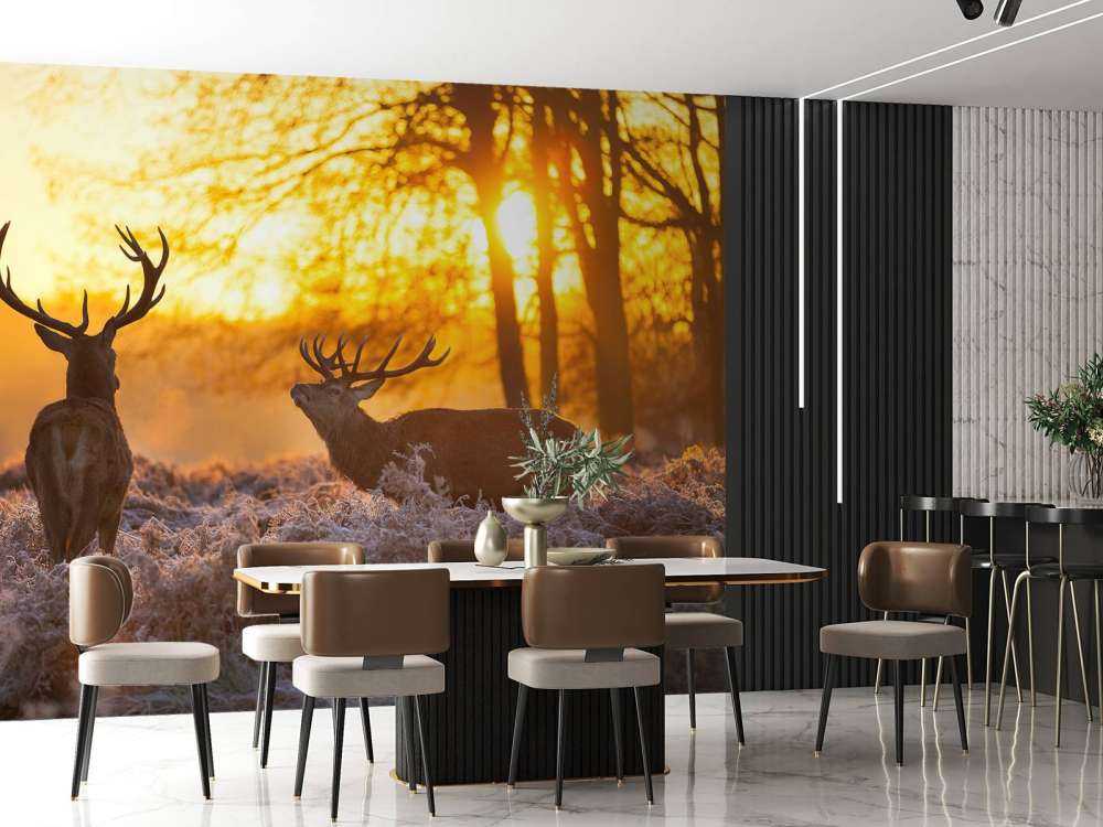 Herten bij zonsondergang