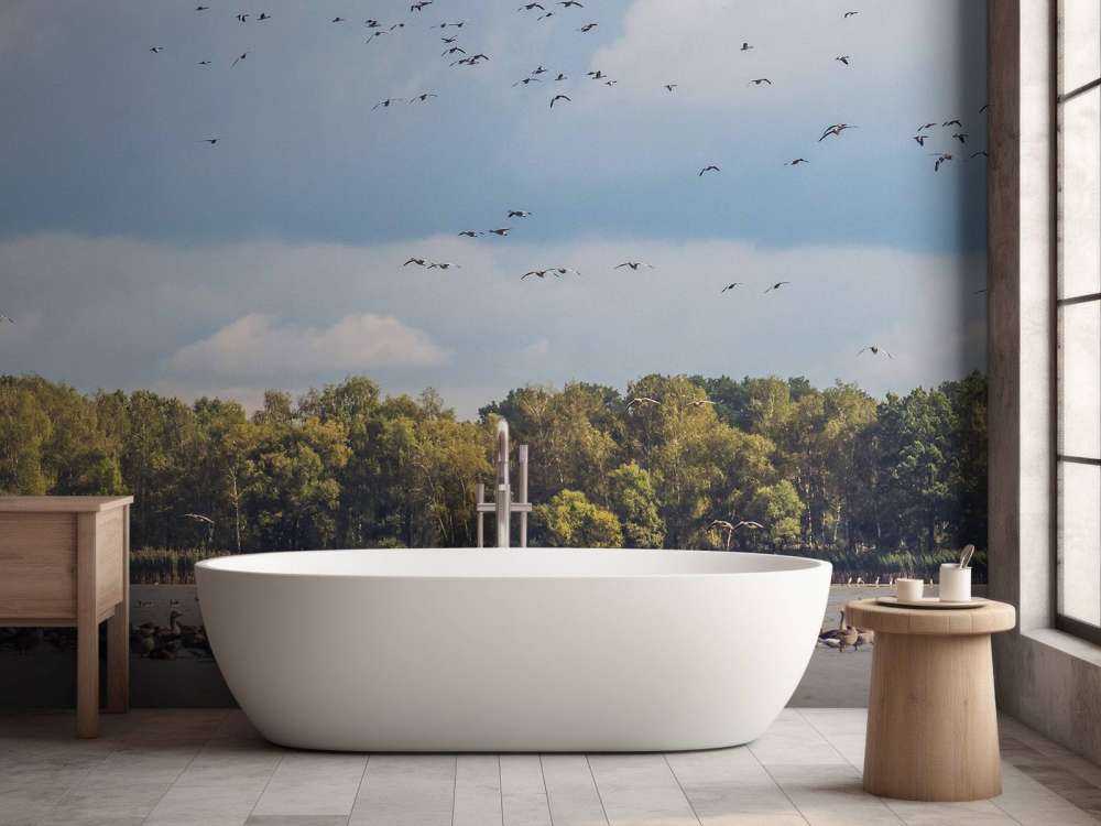 Vlucht over het Water