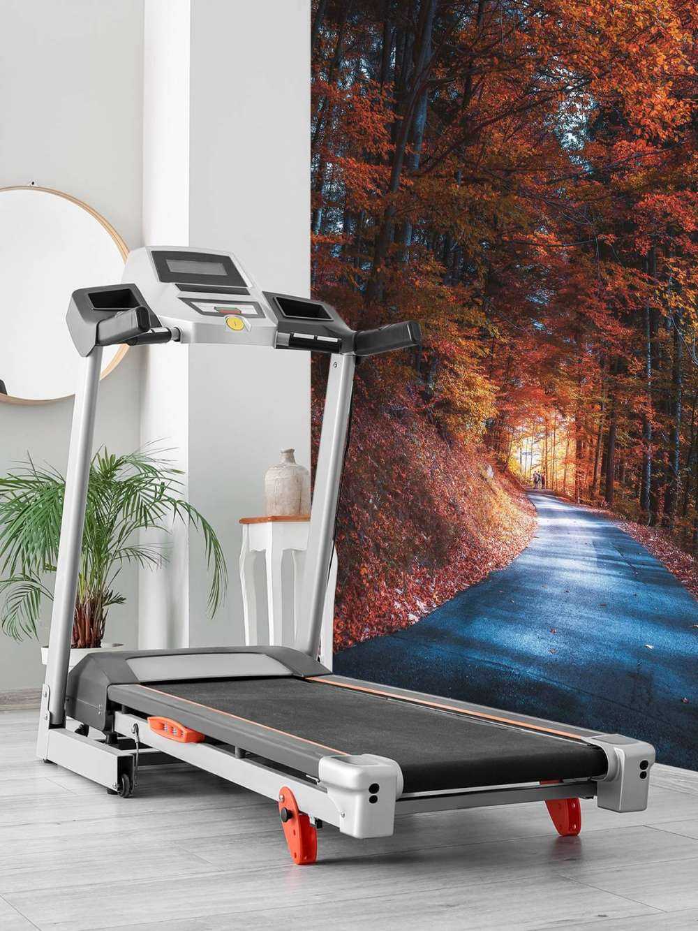 Herfstpad Door Vurig Bos