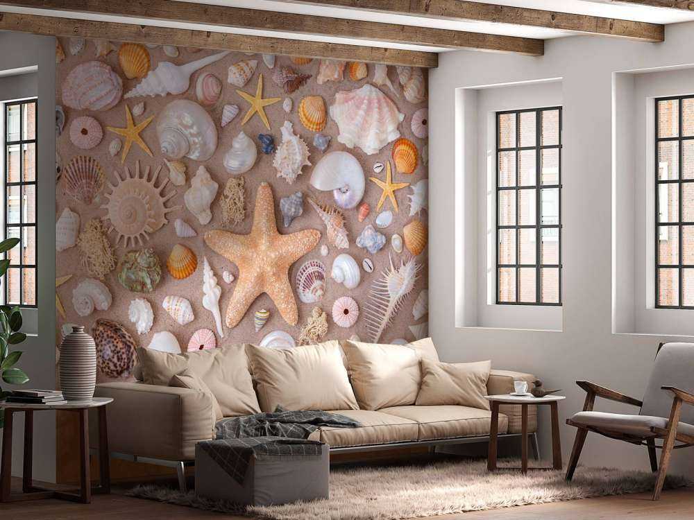 Full frame of collection of seashells