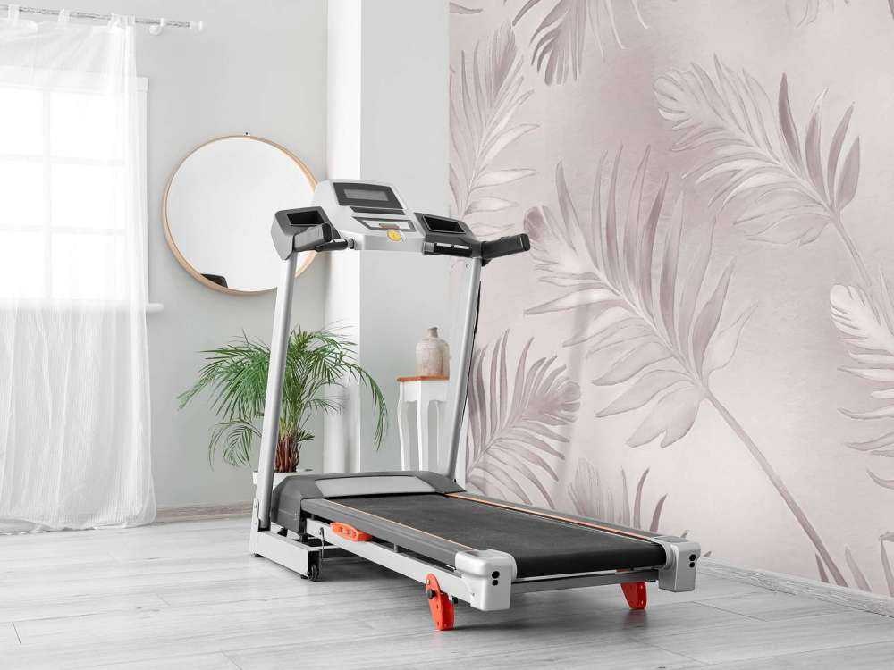 Golden leaves on dark Light Gray