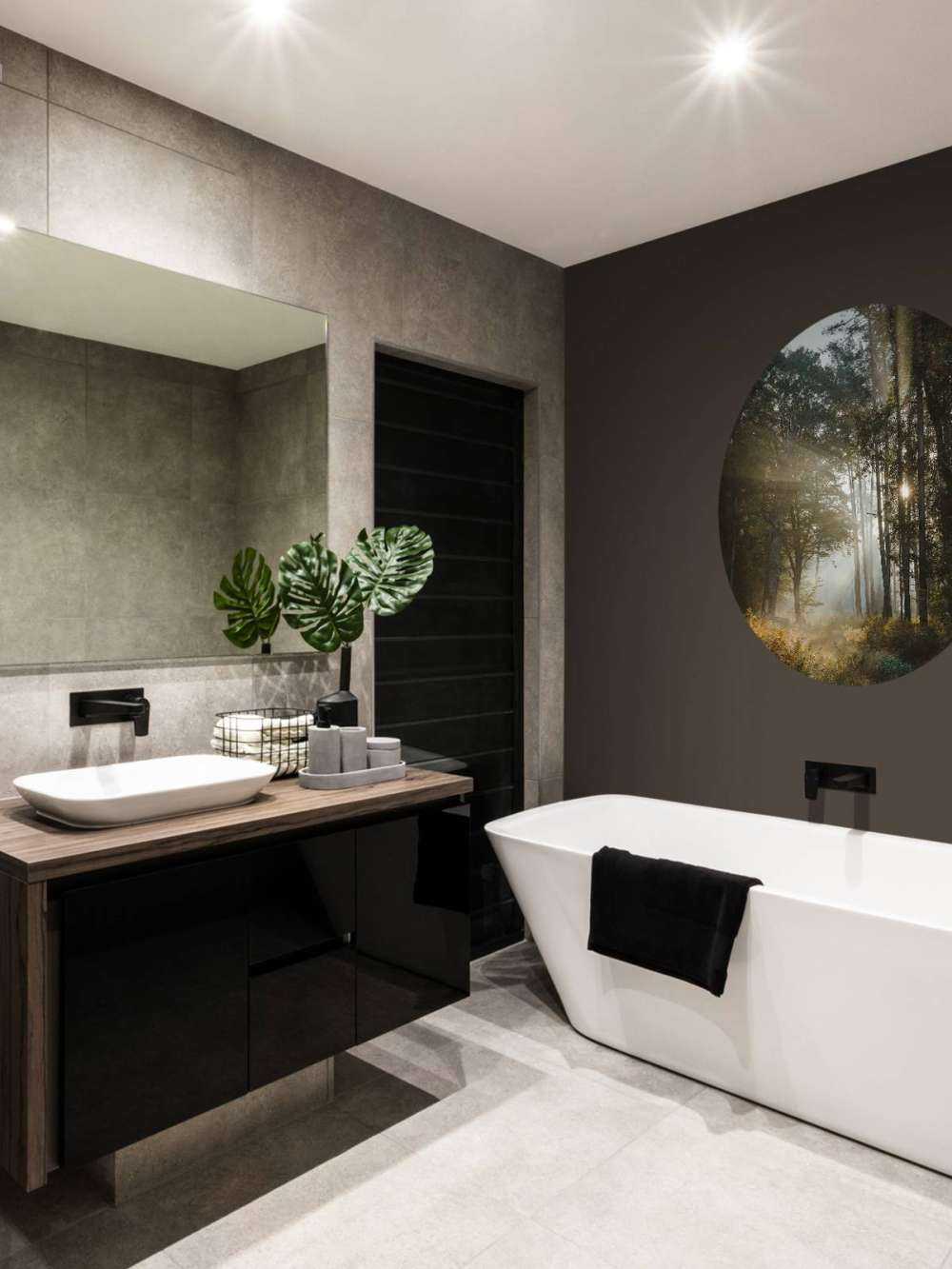 Stralend Ochtendlicht door het Bos