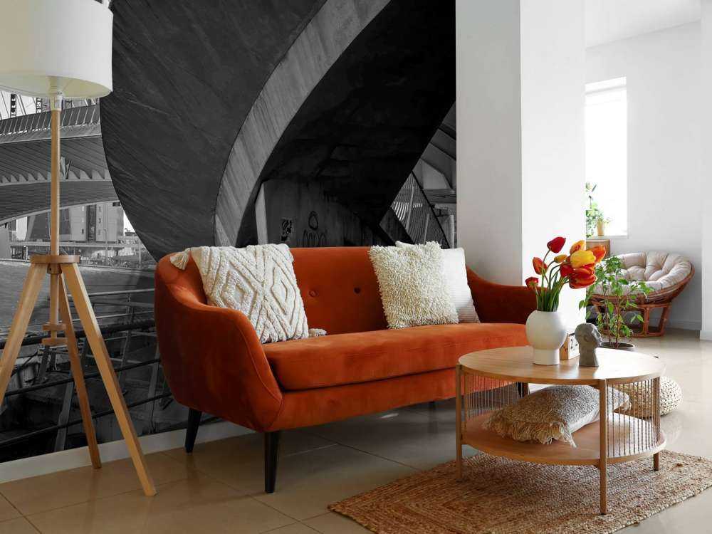 Erasmusbrug en Stadsarchitectuur