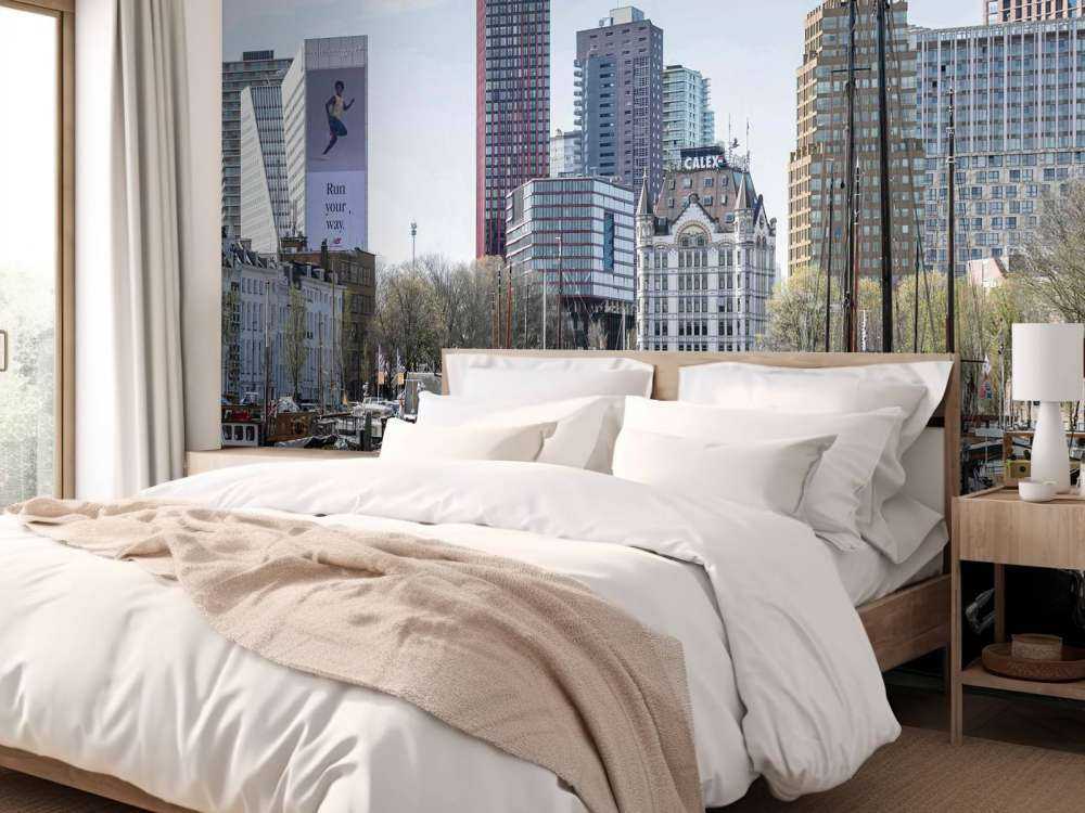 Historische Schepen en de Moderne Skyline