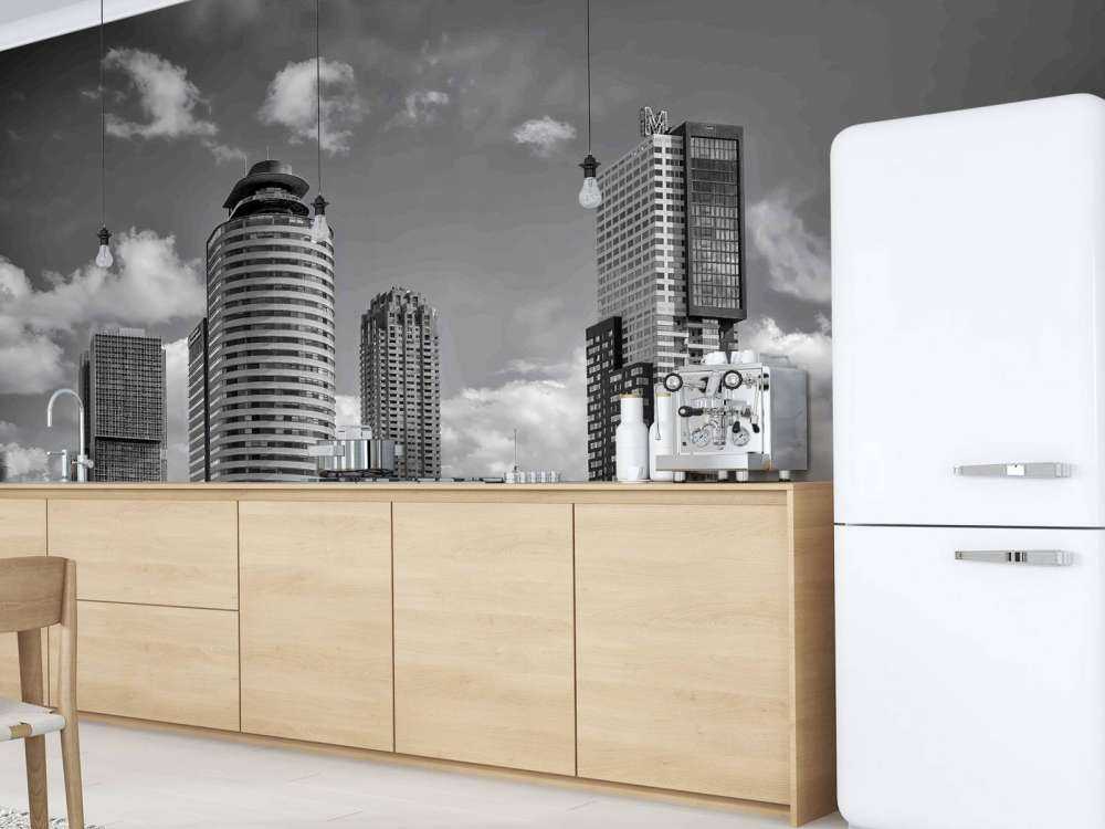 Zwart-Wit Contrast op de Kop van Zuid