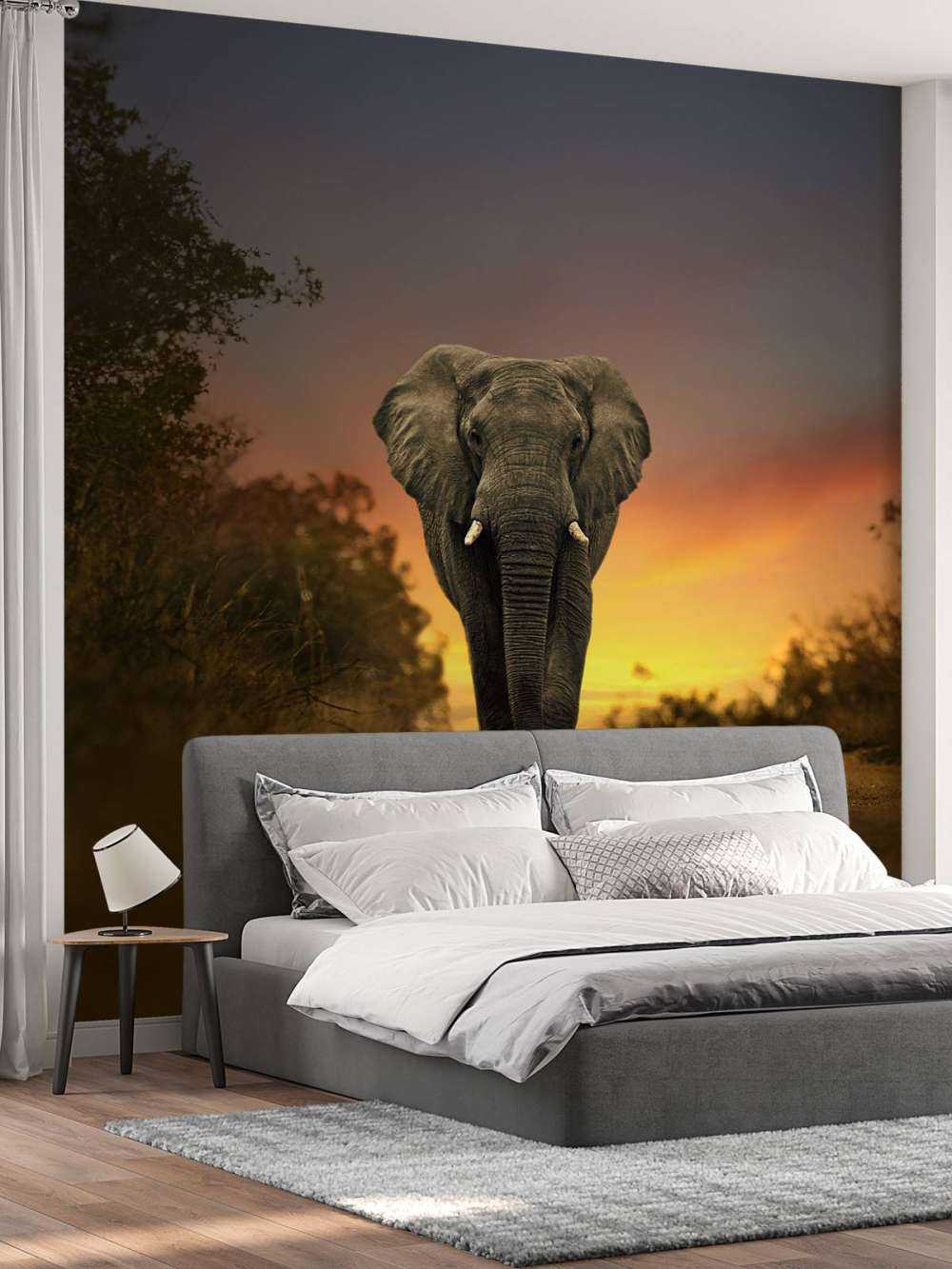 Olifant in de zonsondergang