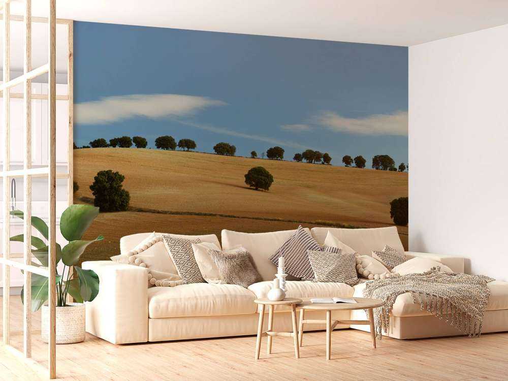 Bomen in Spaans landschap