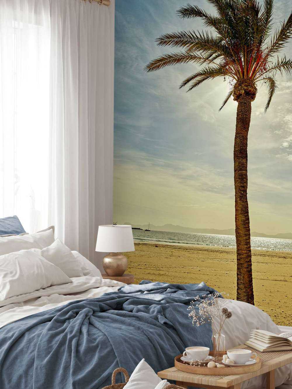 Palmboom in de zon
