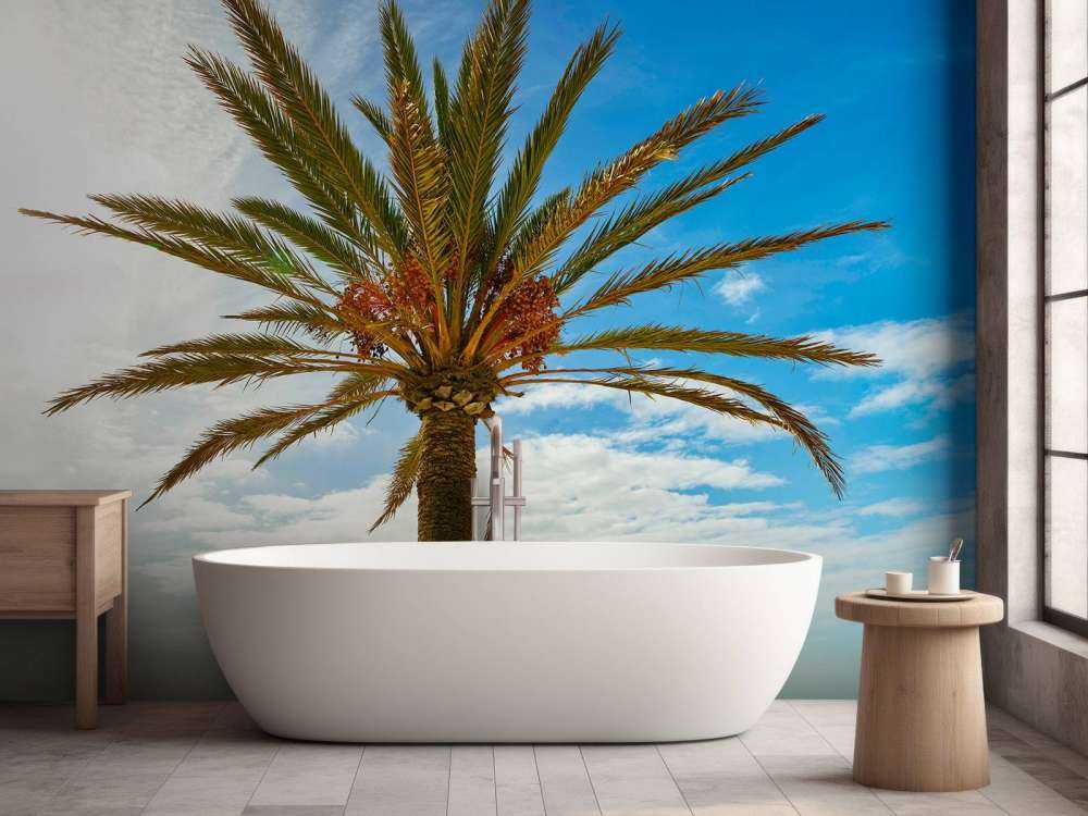 Mooie palmboom