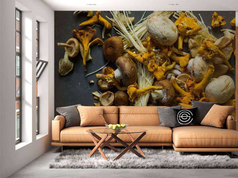 Verschillende paddestoelen