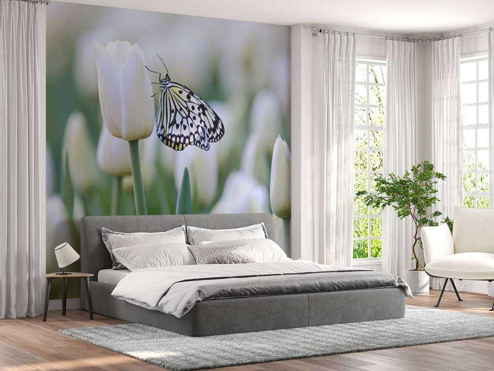 Vlinder op een witte tulp