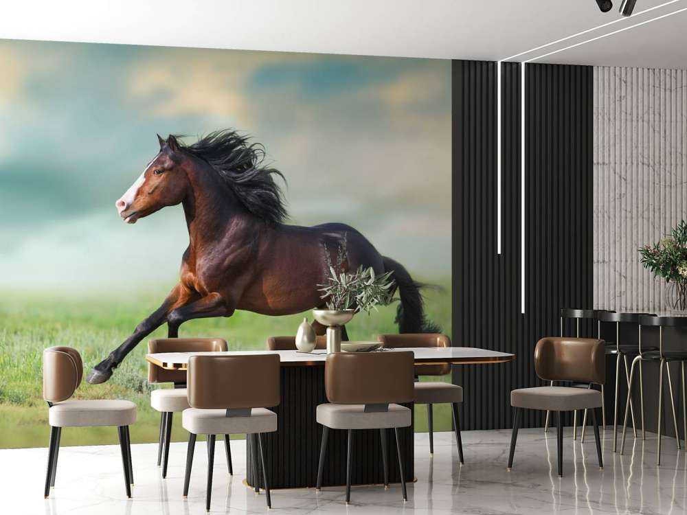 Paard aan het rennen