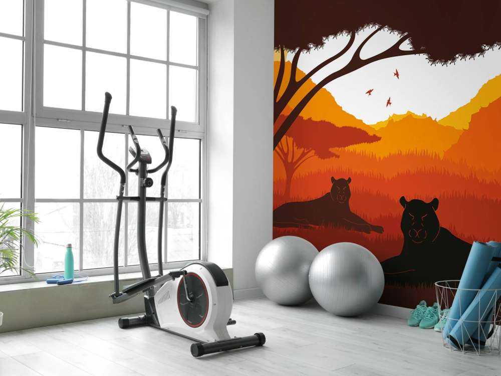 Zonsondergang in Afrika