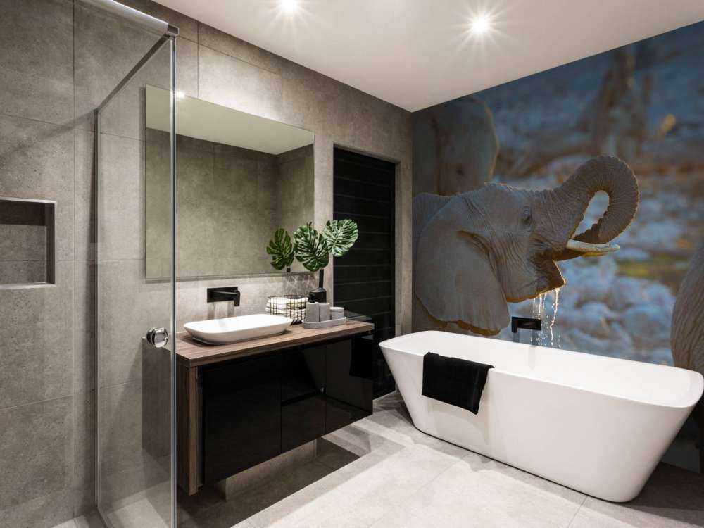 Olifanten drinken water