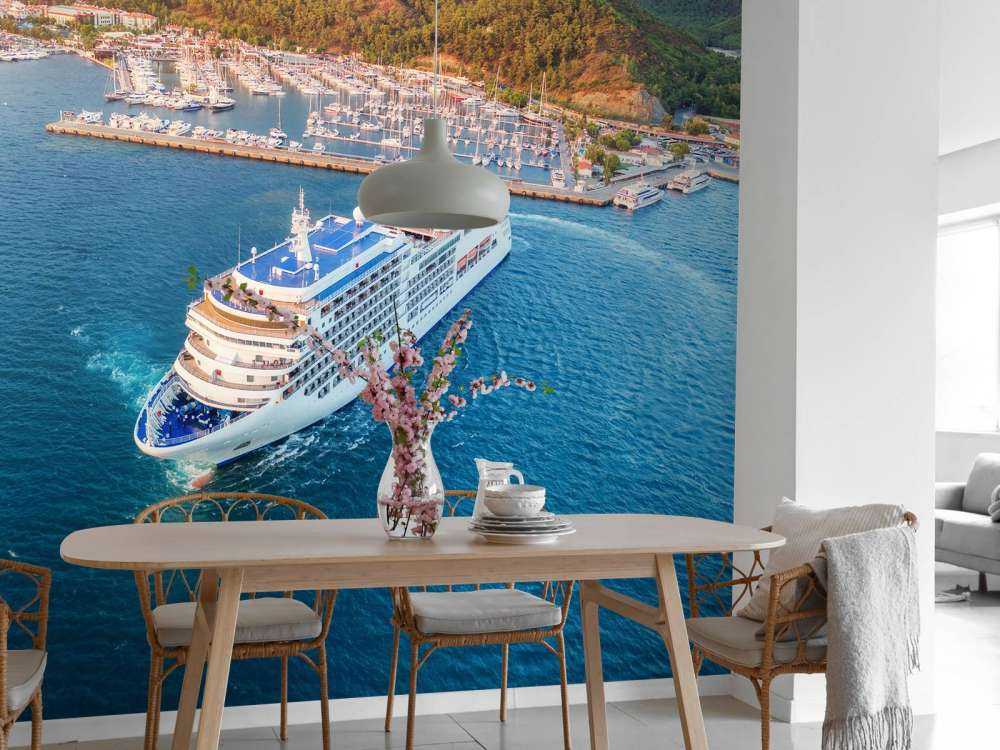 Cruiseschip in de haven