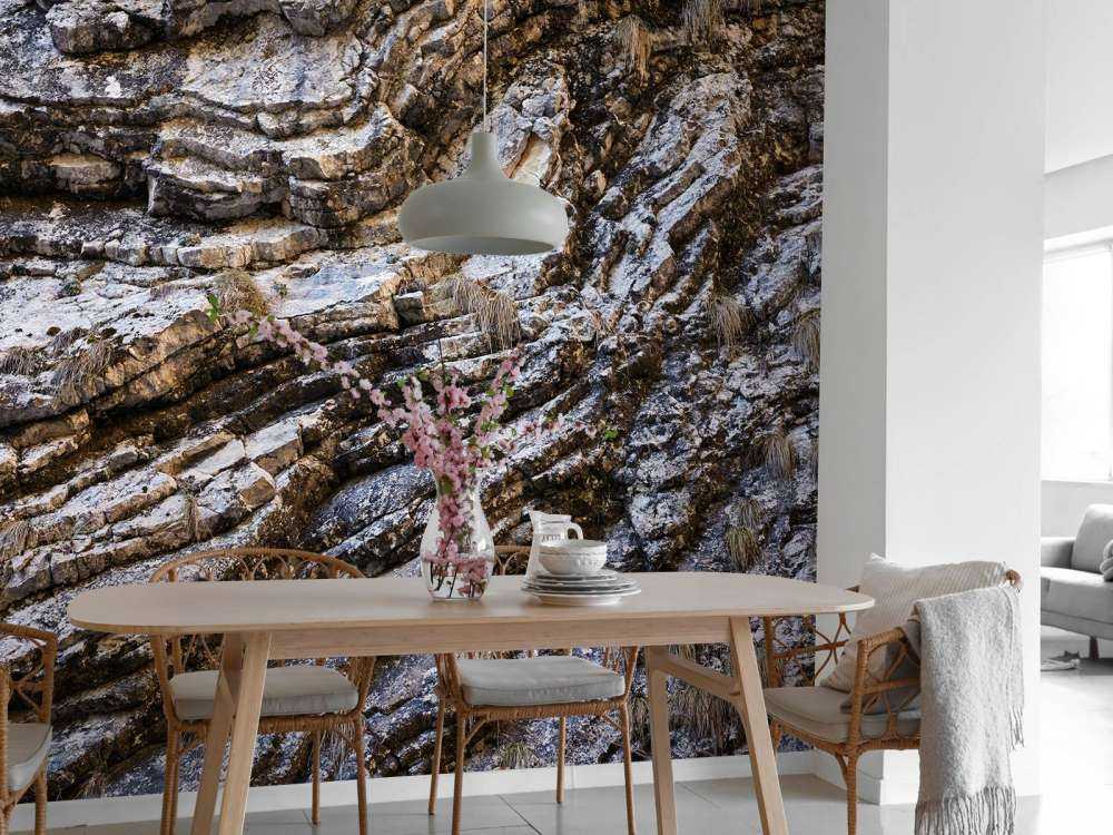 Close-up kalkstenen rots