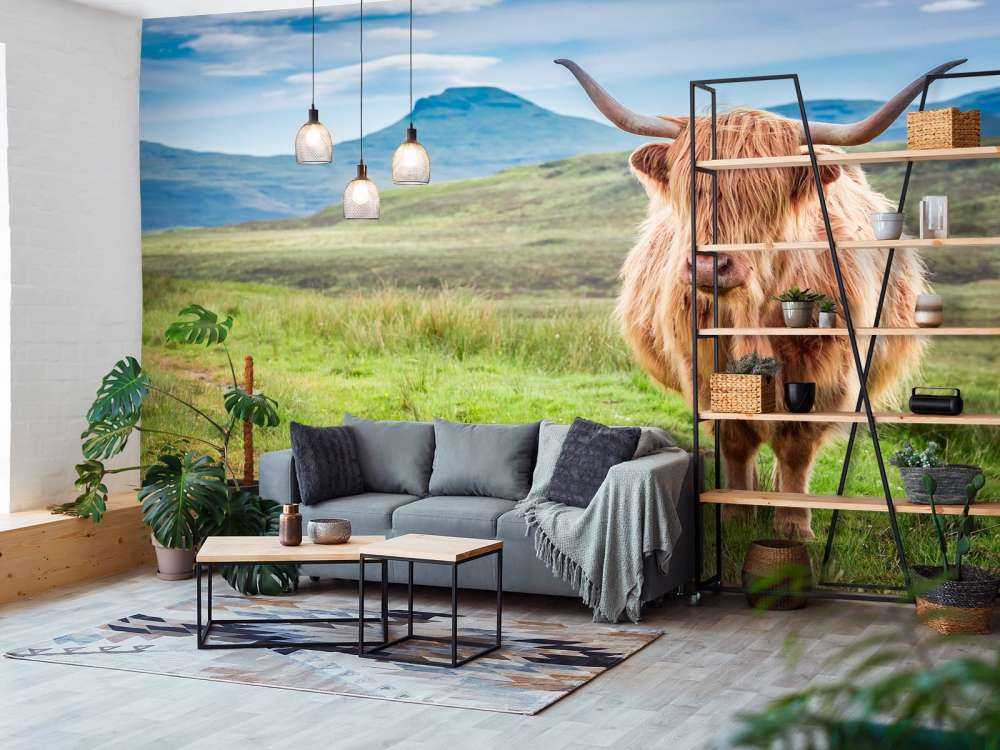 Schotse Hooglander in een berglandschap