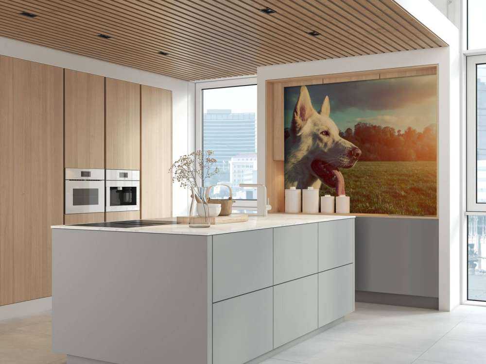 Grote witte hond bij zonsondergang