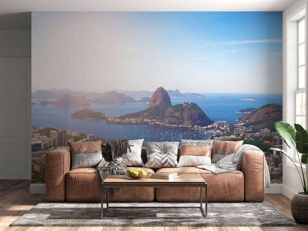 Rio de Janeiro landschap