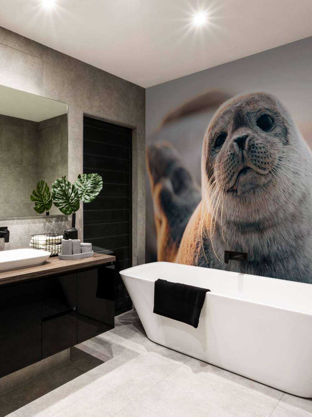 Zeehond op strand in avondlicht