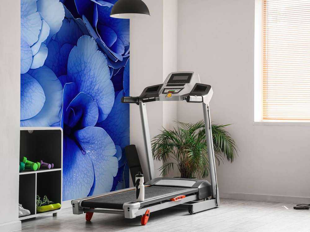 Close-up van blauwe hortensia's