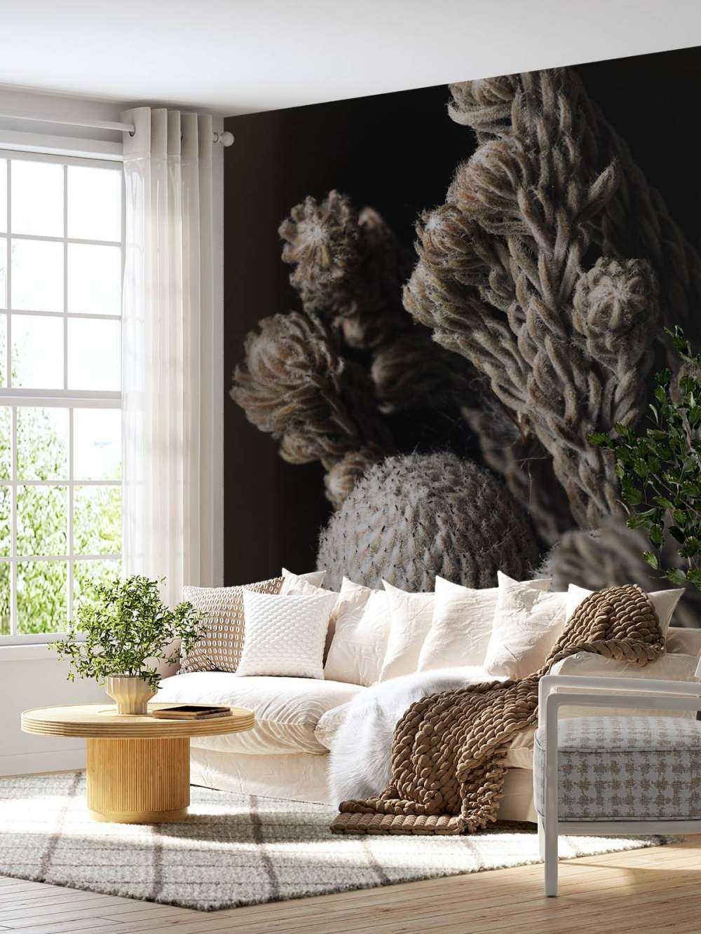 Close-up planten op zwart achtergrond