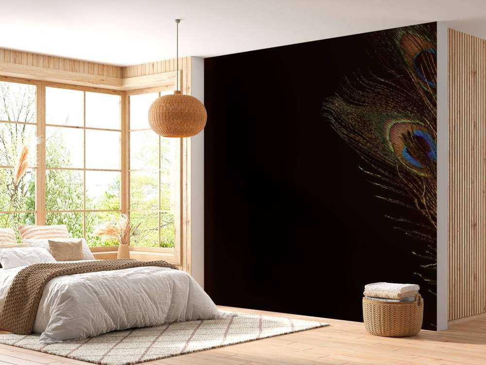 Kleurrijke pauwenveer