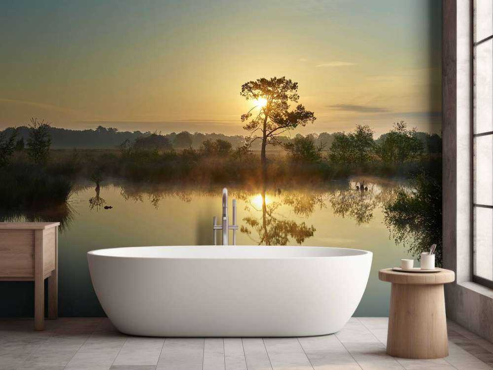 Zonsopkomst bij bosven