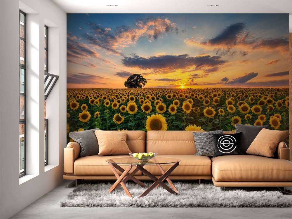 Veld vol zonnebloemen