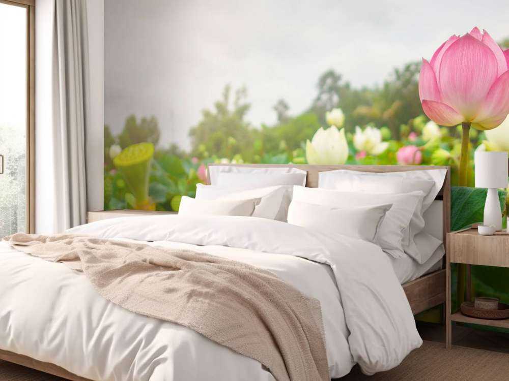 Roze en witte lotusbloemen