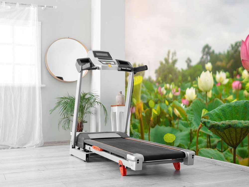 Roze en witte lotusbloemen