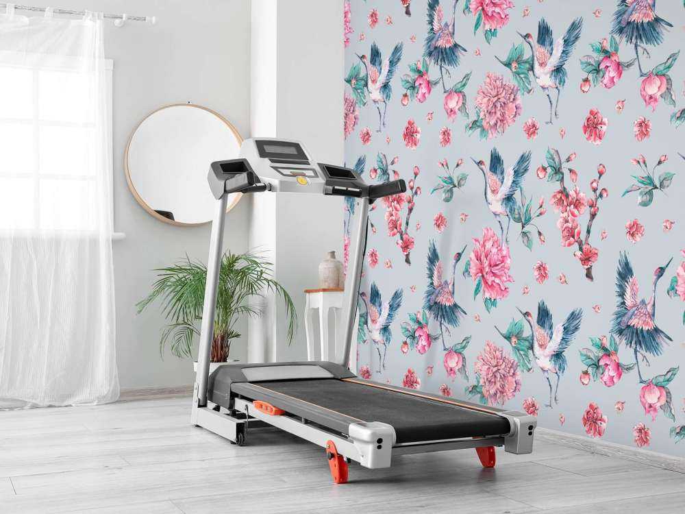 Vrolijke kraanvogels