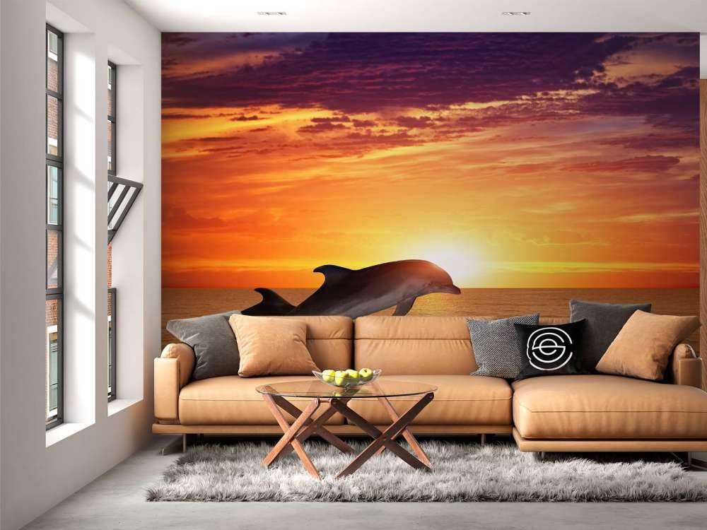 Dolfijnen in avondzon