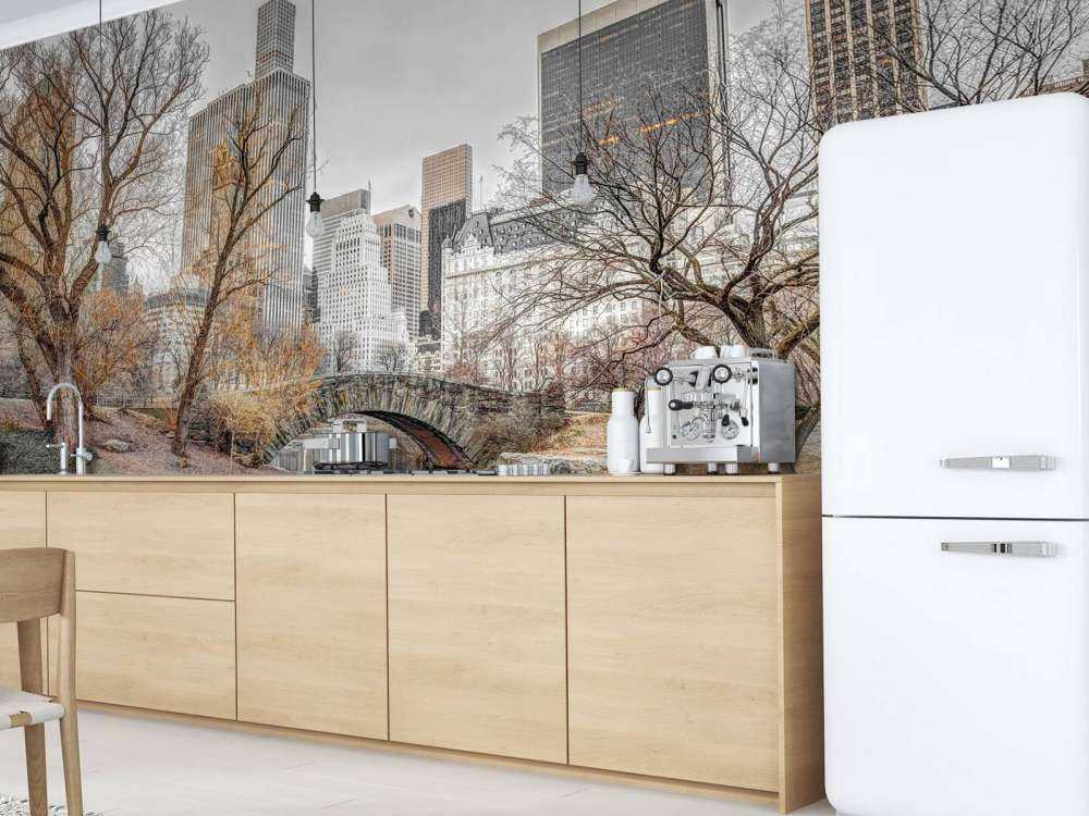 Central park in de winter