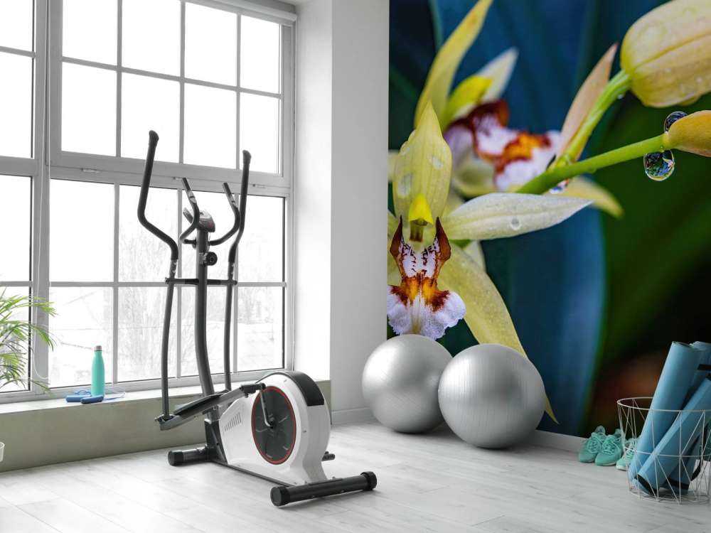 Wilde, gele orchidee