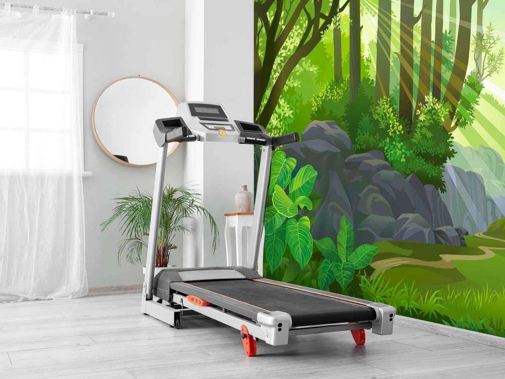 Zonlicht in de jungle