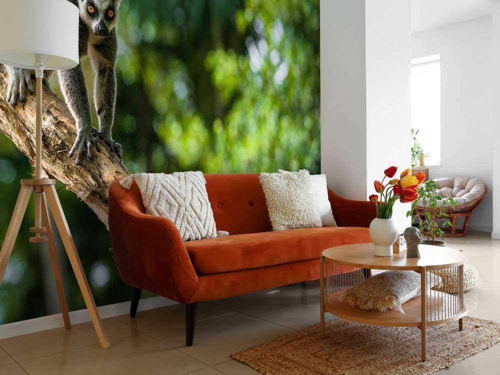 Ringstaart aap in een boom