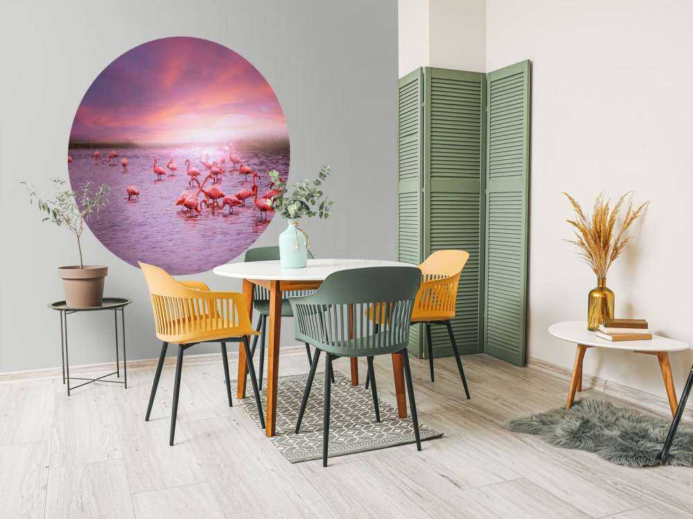 Flamingo's met zonsondergang