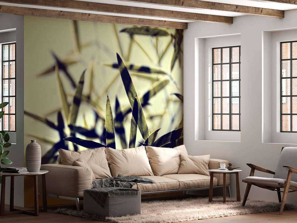 Bamboe bladeren in de zon