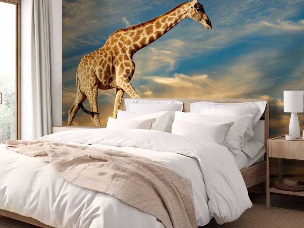 Giraffe in Zuid-Afrika lopend op zand