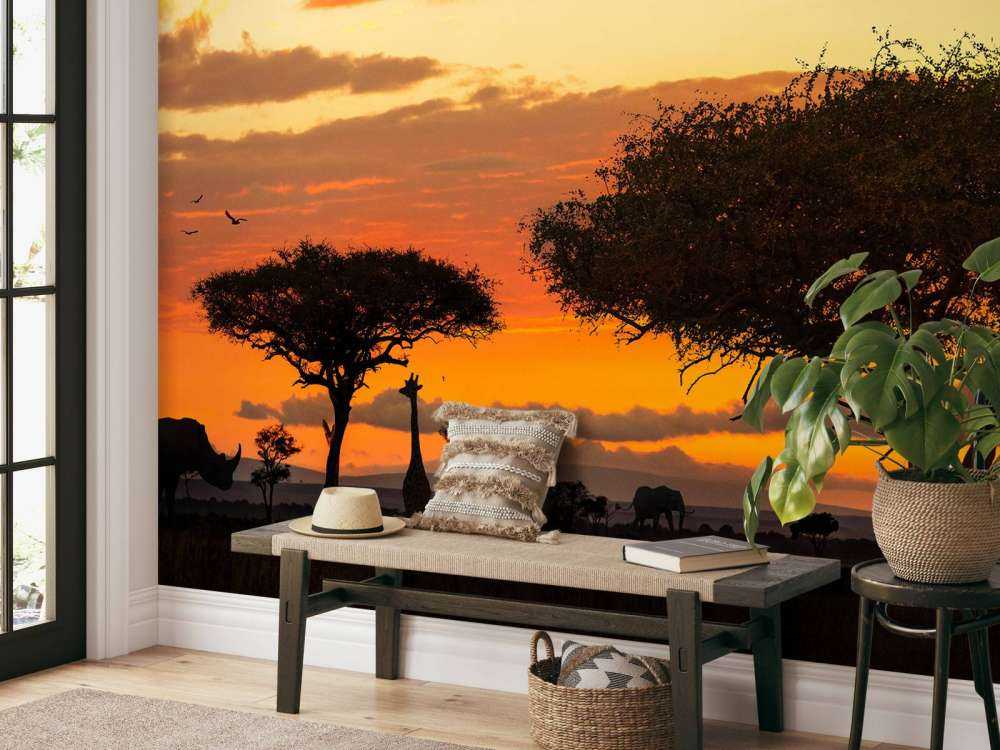 Safari in Afrika bij zonsondergang