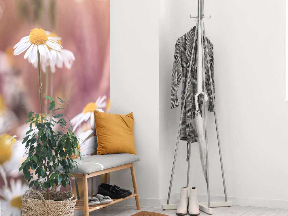 Veld vol Madeliefjes